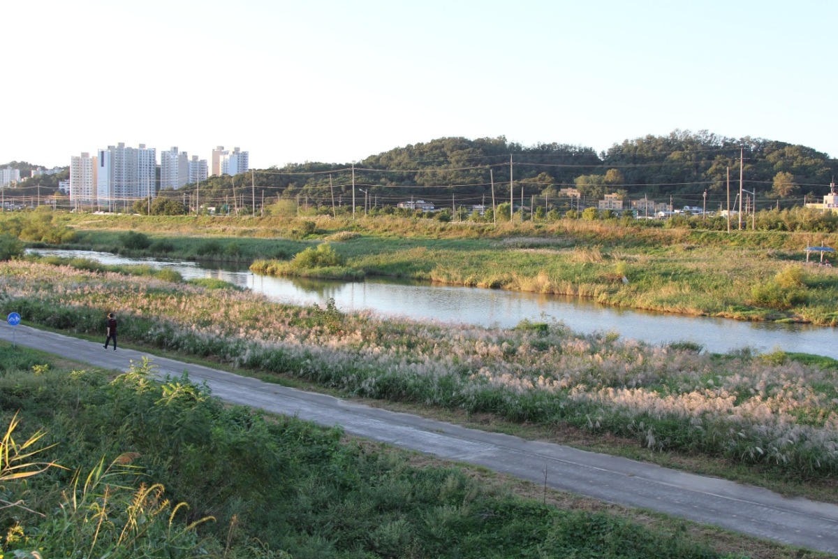 둑방 길에서 내려다본 자전거 도로와 산책로 그리고 공릉천