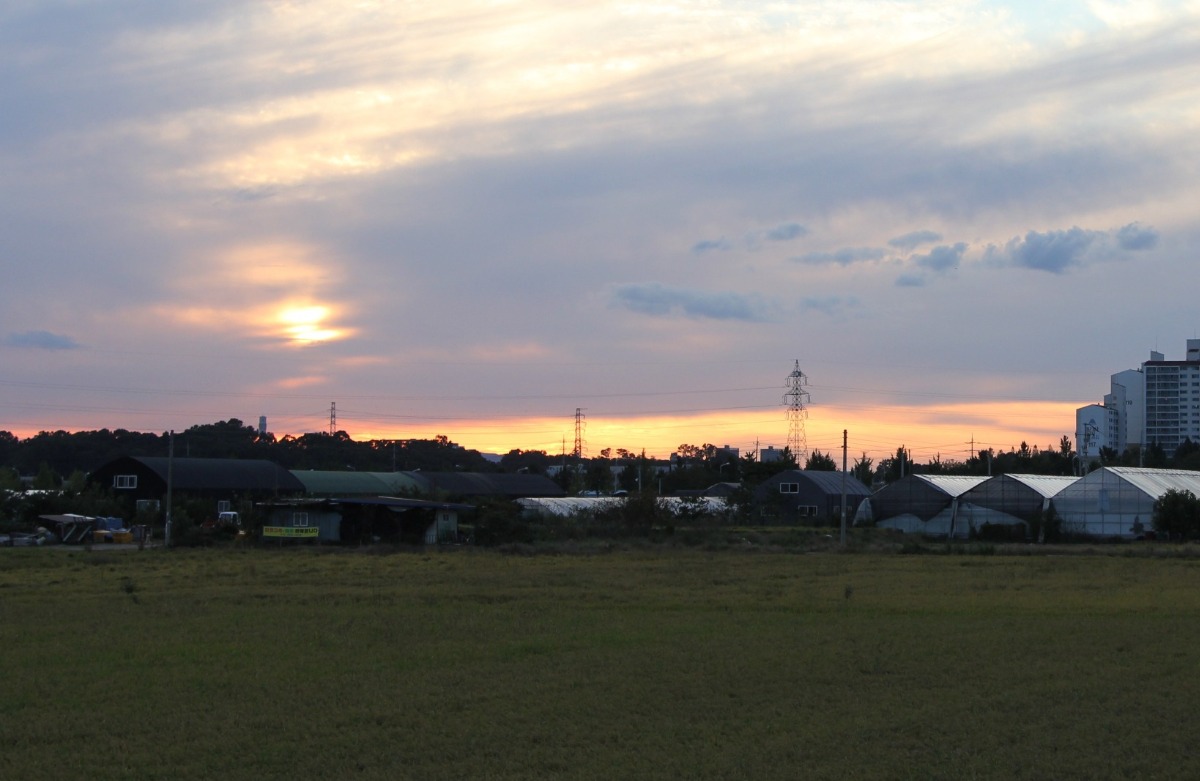 둑방 길은 생각지도 못한 붉은 노을의 아름다움을 우리에게 선물하기도 한다.