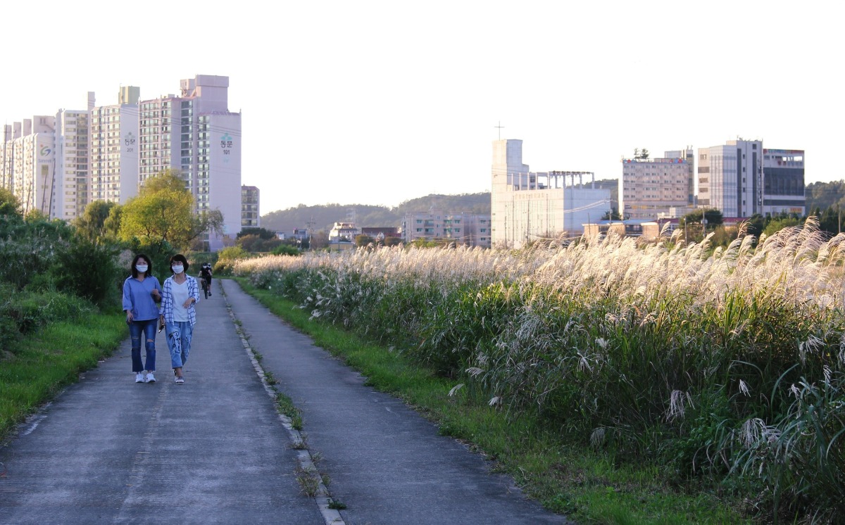 산책로를 걷다보면 갈대와 억새가 만들어 내는 은빛, 금빛 물결에 취해 황홀한 기분이 들기도 한다.