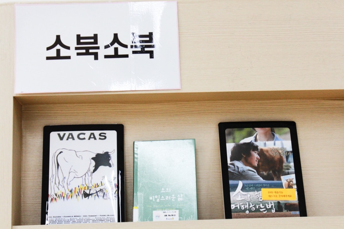 소를 주제로 한 책들(1)