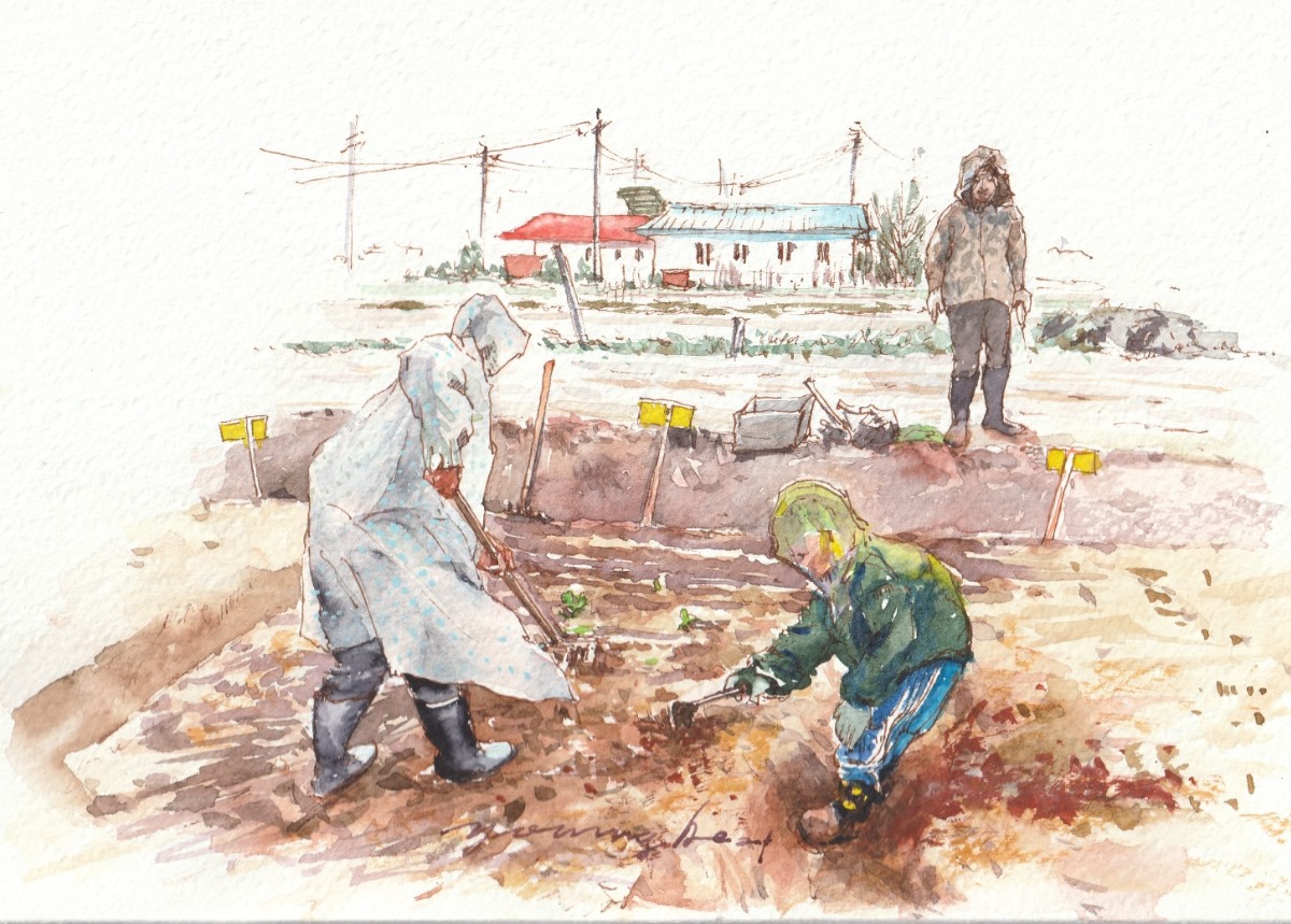 심영애 씨가 그린 탄현텃밭놀이터