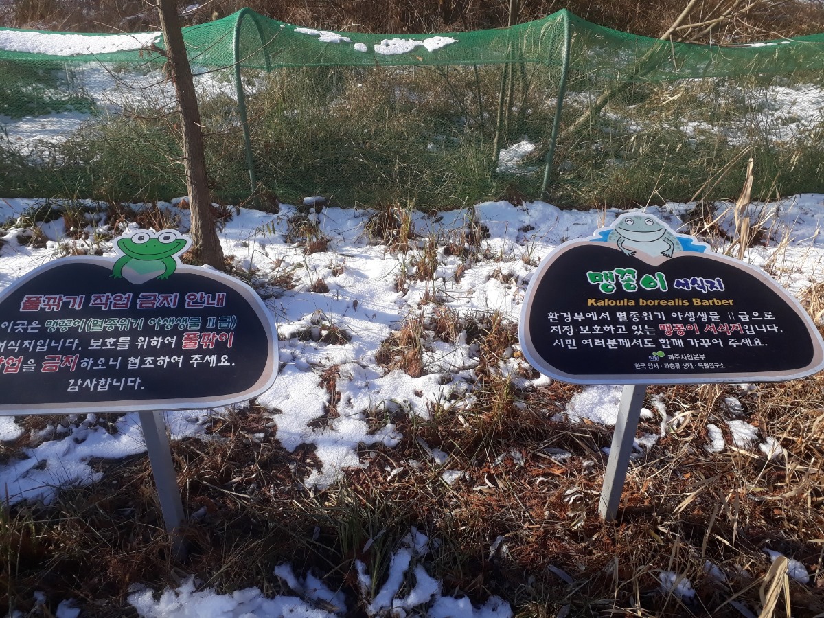 운정호수공원 내  일반인의 출입을 금지한 맹꽁이 서식지