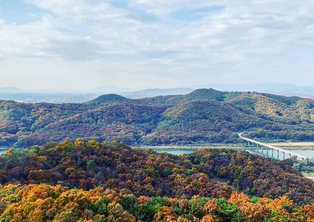 율곡수목원 전망대에서 바라본 풍경