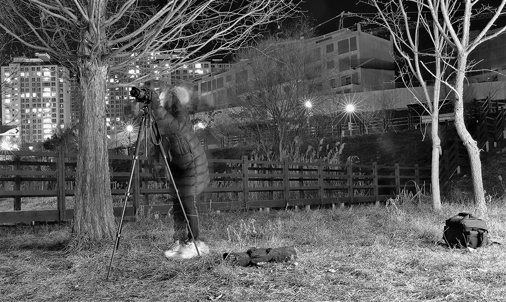 평화 존을 촬영하고 있는 최미영씨