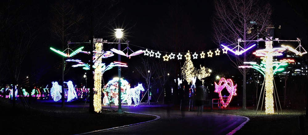 경관조명으로 장식한  운정호수공원  야경