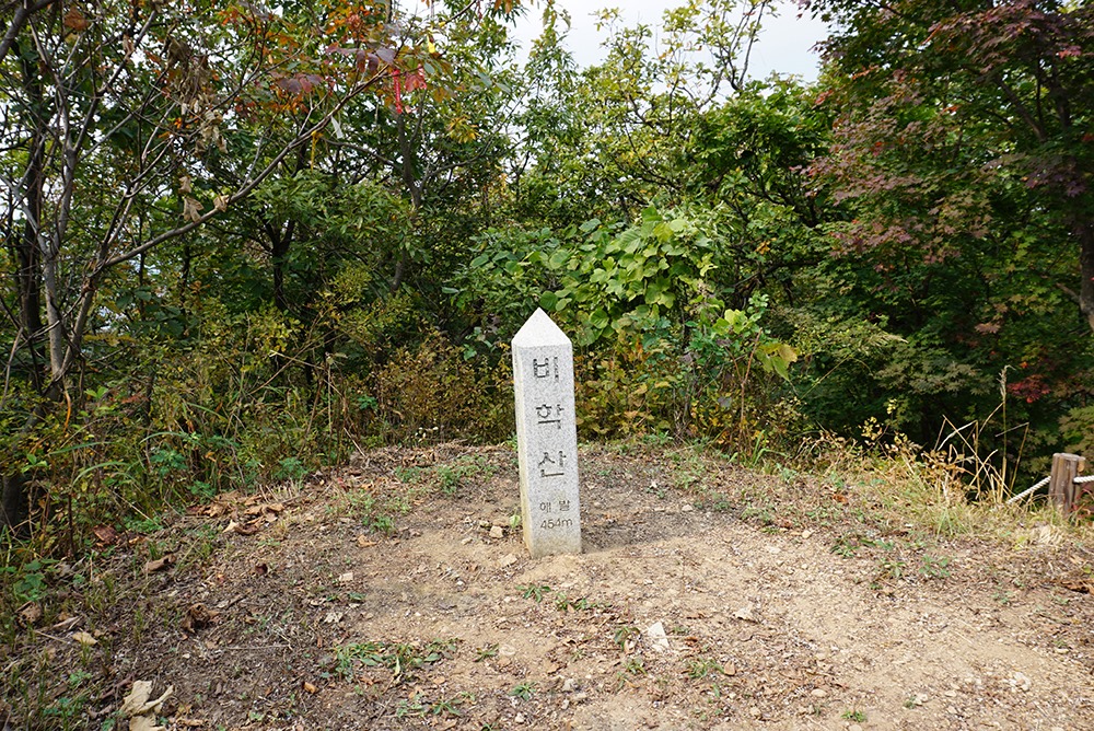 비학산 정상의 표지석