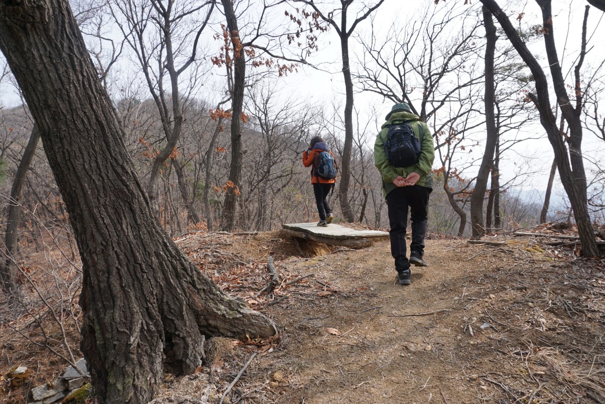 우암산 능선길