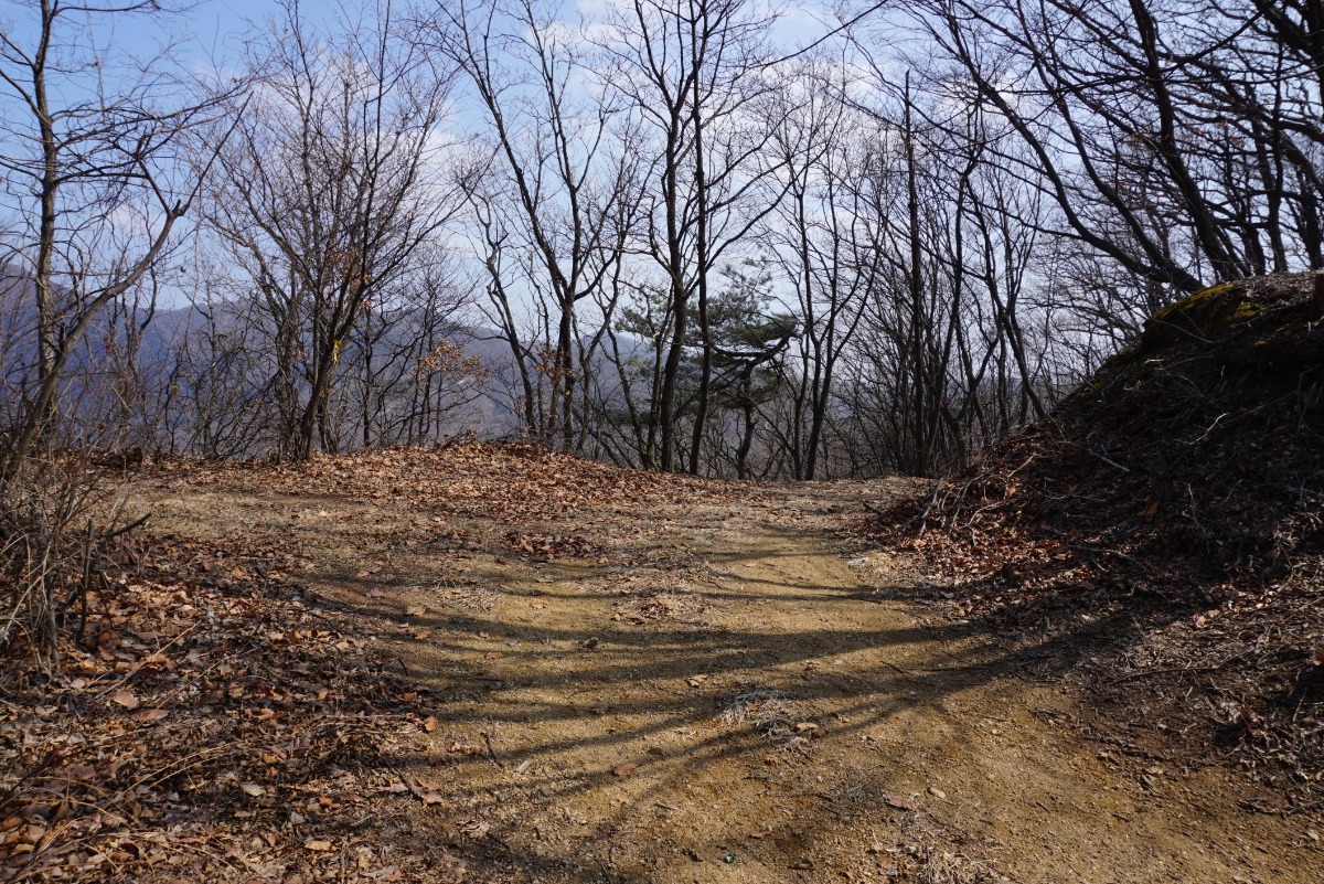 새문안 동산에서 바라본 고령산