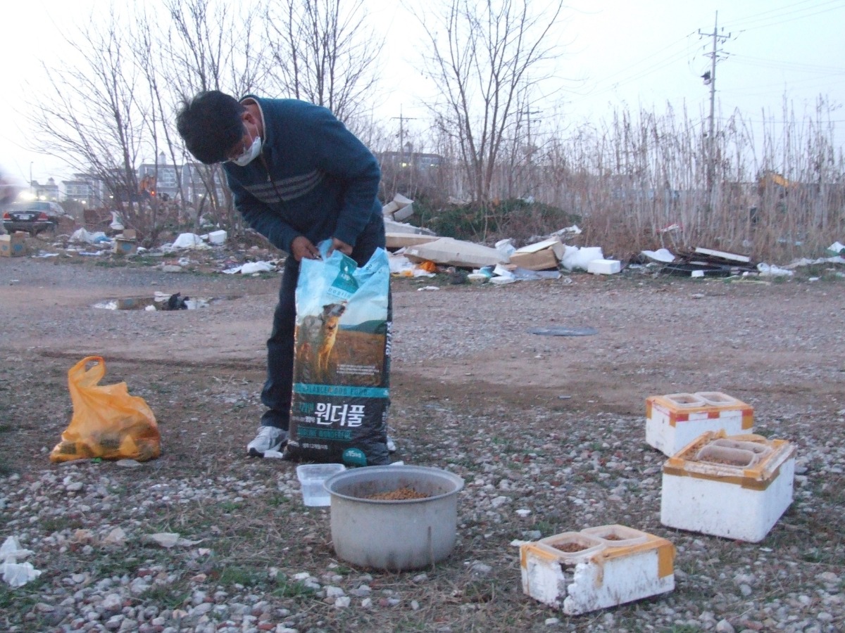 유기견들에게 먹이를 주기 위해 준비하는 모습