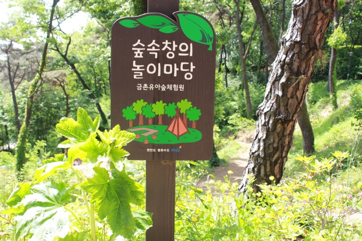 숲송창의 놀이마당