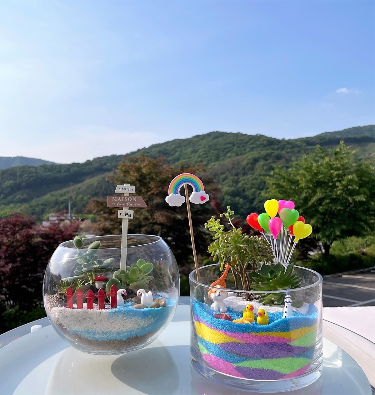 완성된 테라리움