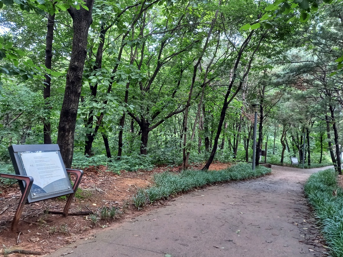 잇따라 서 있는 시비들이 산책객들을 심심치 않게 한다.