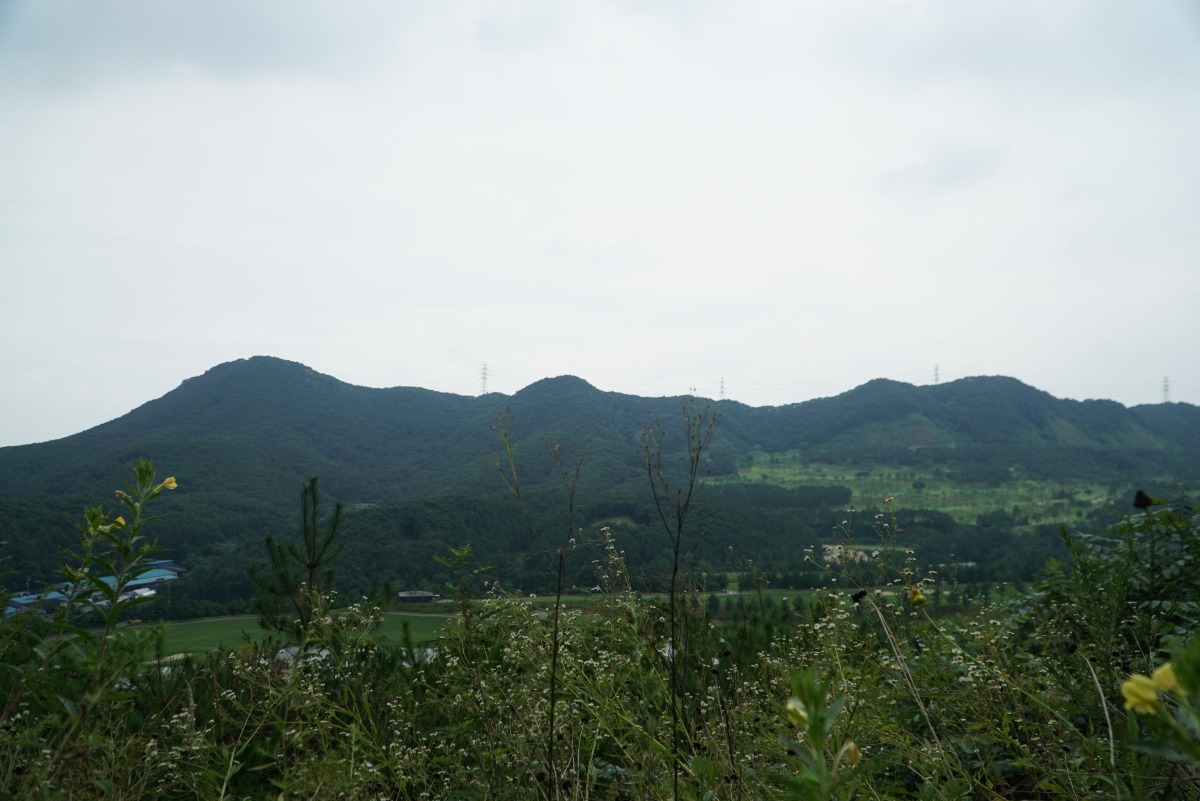 영조가 감탄했던 '비단병풍을 친듯' 한 금병산