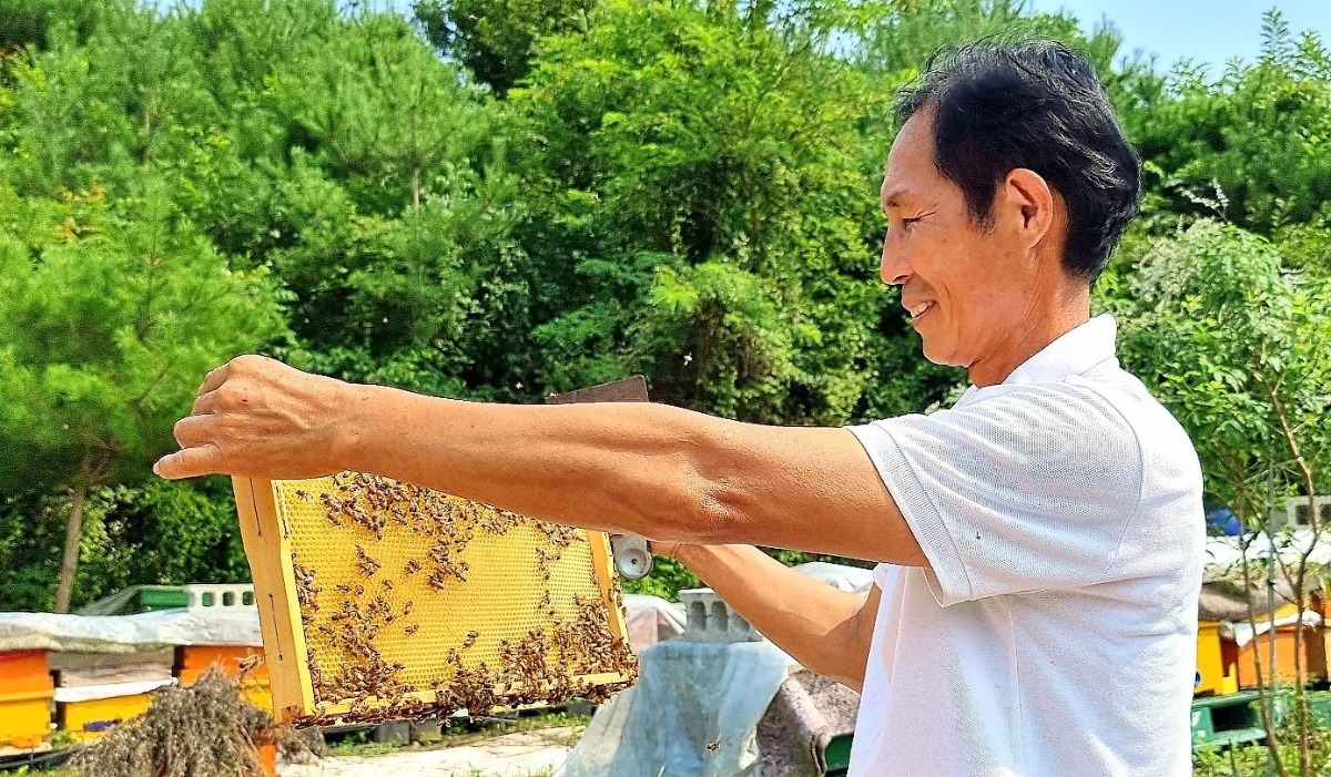 겸업으로 하고 있는 양봉