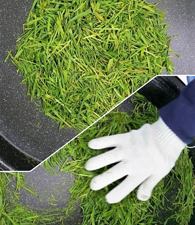 보리순 덖는 모습