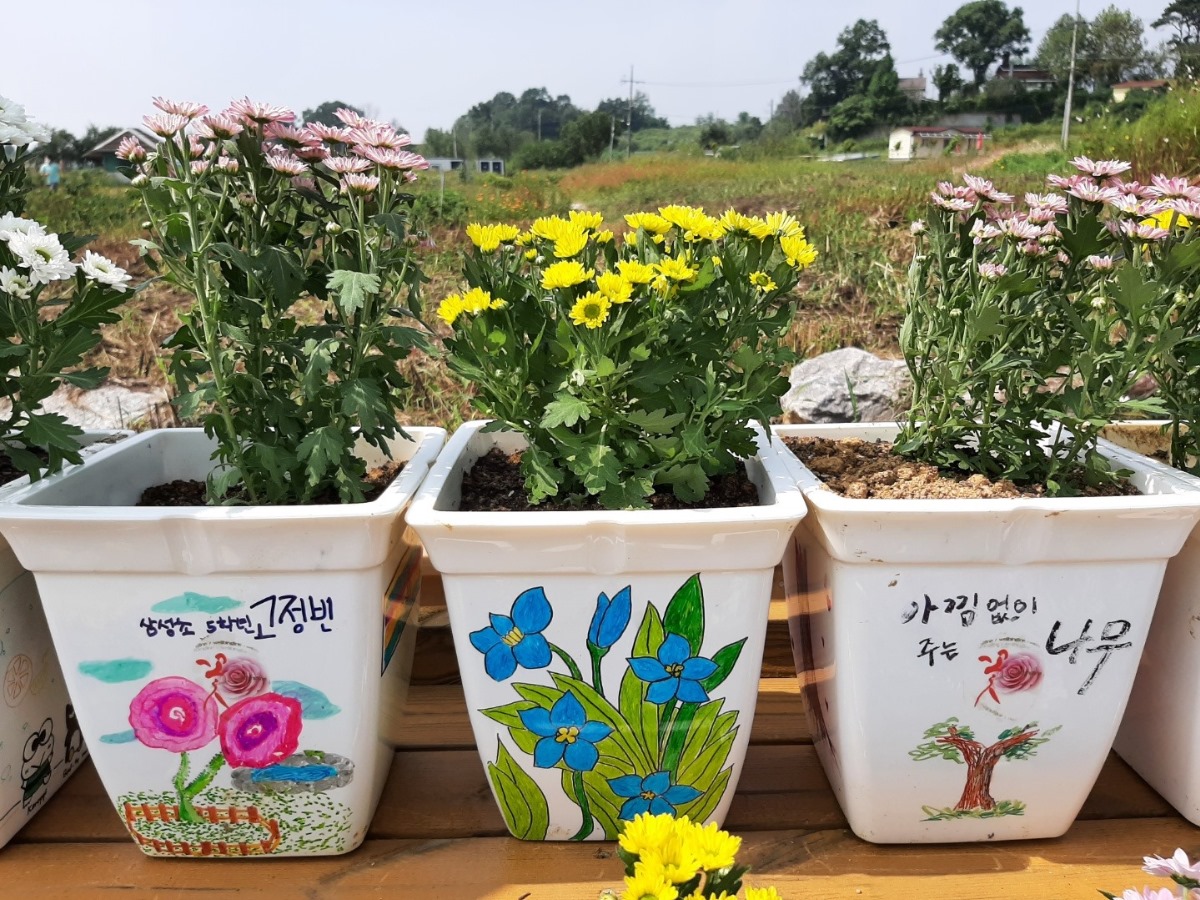 학생들이 손수 심고 가꾼 꽃 화분