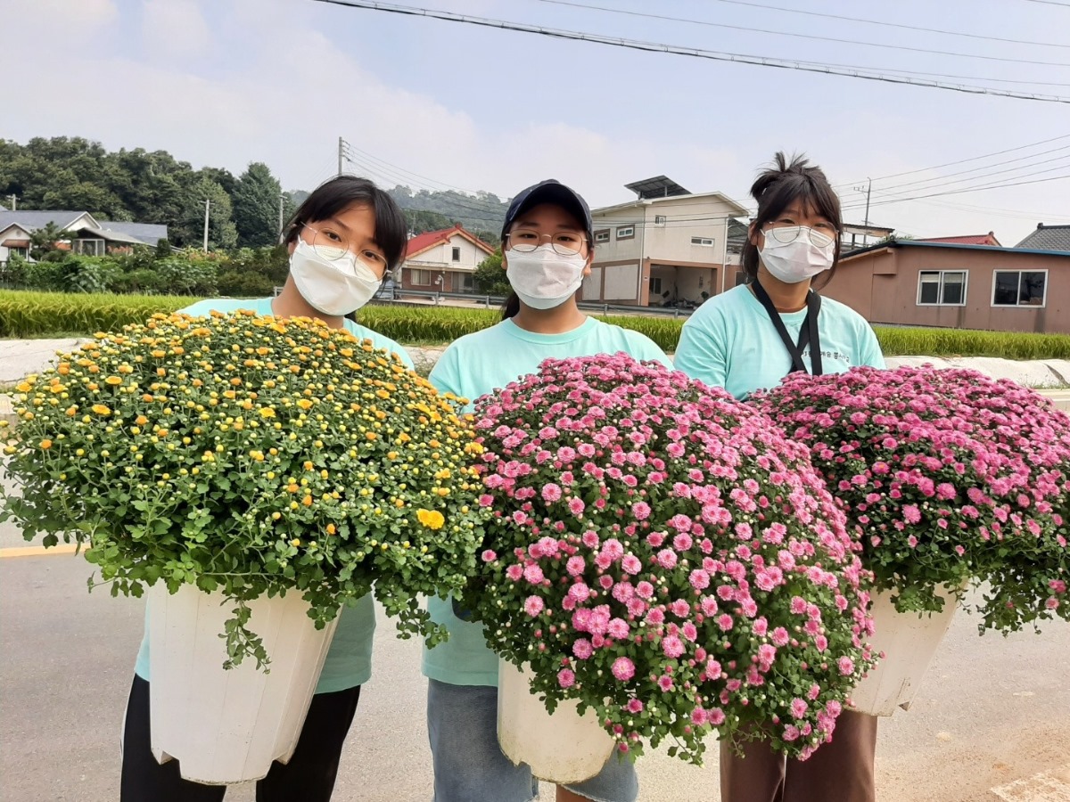 아름다운 국화꽃으로 마을을 꾸미는 예술봉사학교 학생들