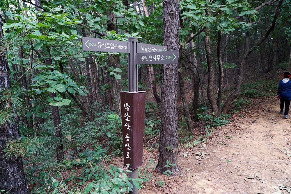 광탄면행정복지센터 등산로 합류지점