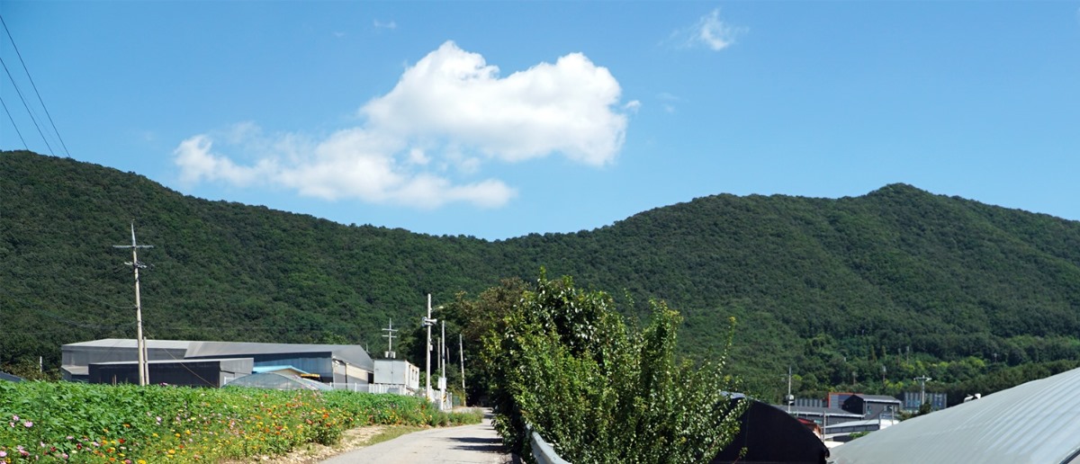 분수리에서 바라본 박달산