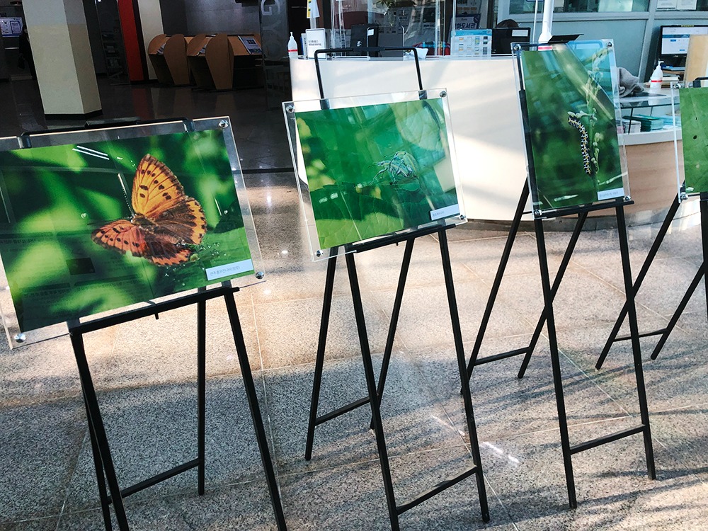 교하도서관 로비에 전시돼 있는 생태사진들