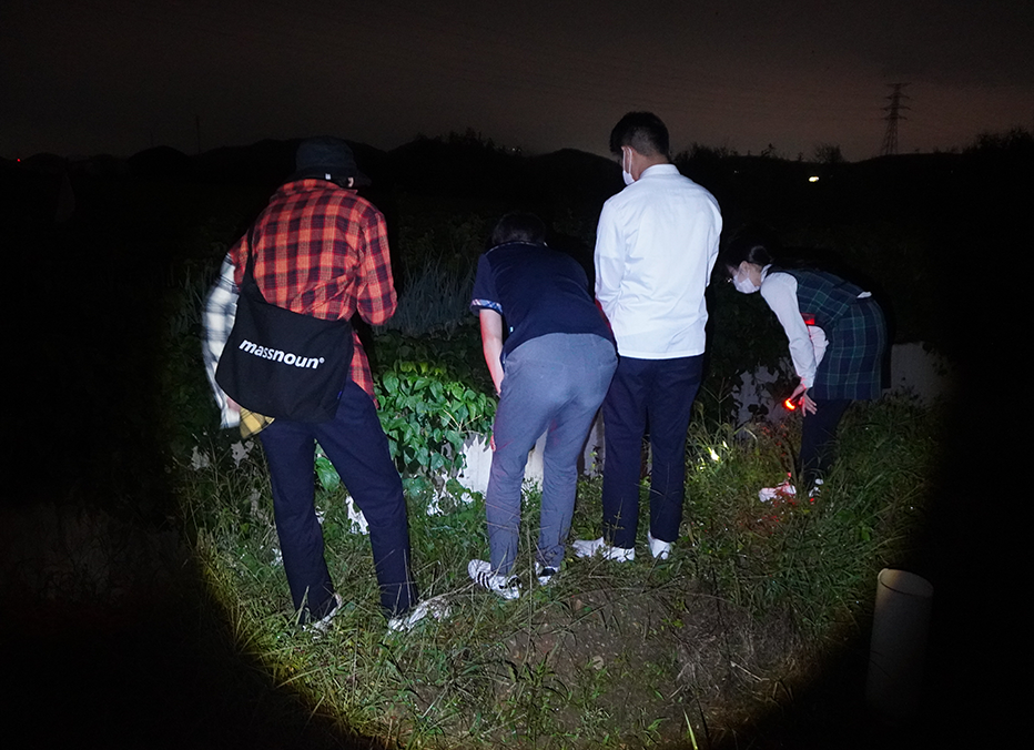 멸종위기종 양서류 탐사