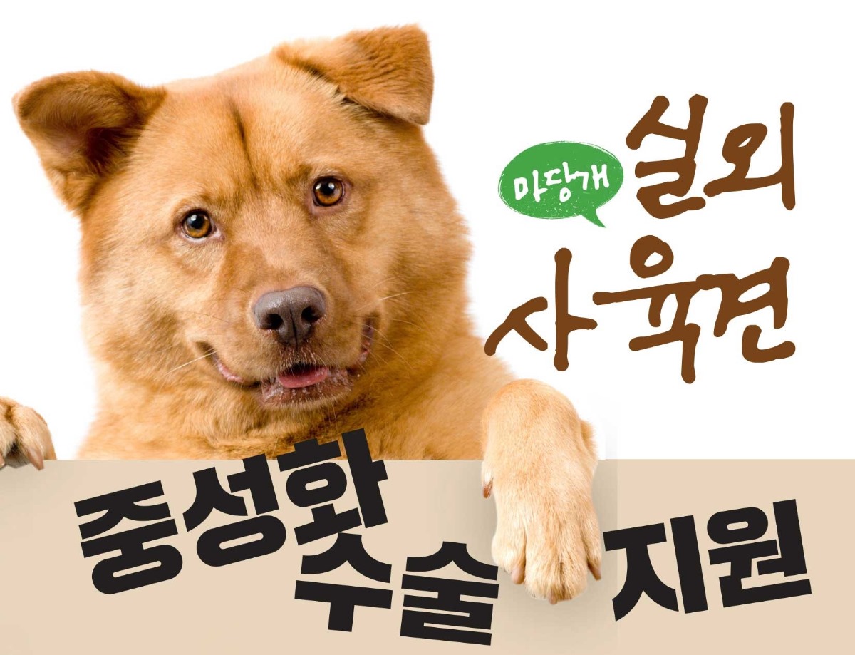 마당개/실외/사육견/중성화/수술 지원