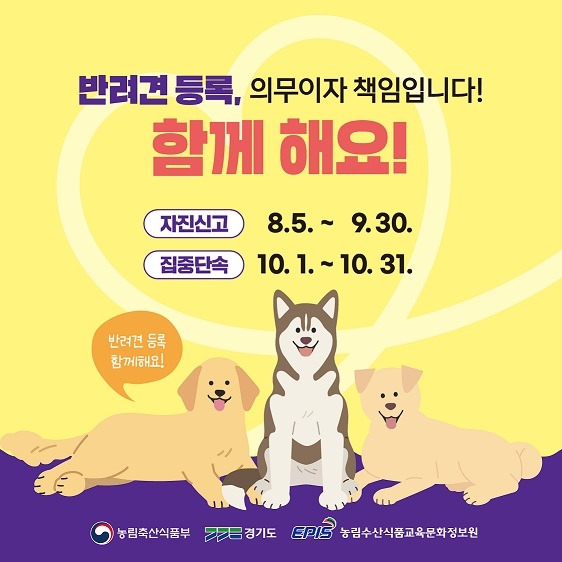 반려견 등록, 의무이자 책임입니다!/함께 해요!/자진신고 8. 5. ~ 9. 30./집중단속 10. 1. ~ 10. 31./반려견 등록/함께해요!